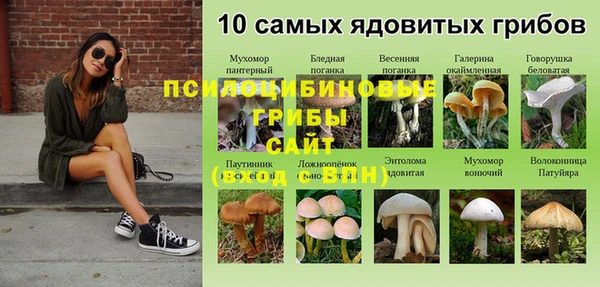 дурь Белокуриха