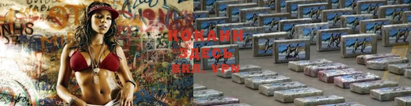 дурь Белокуриха