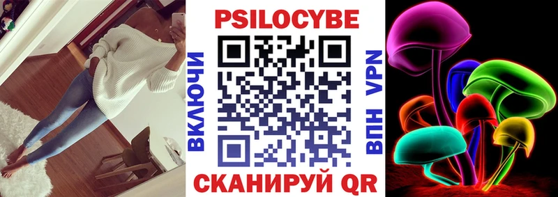 сколько стоит  Вельск  Галлюциногенные грибы Psilocybine cubensis 